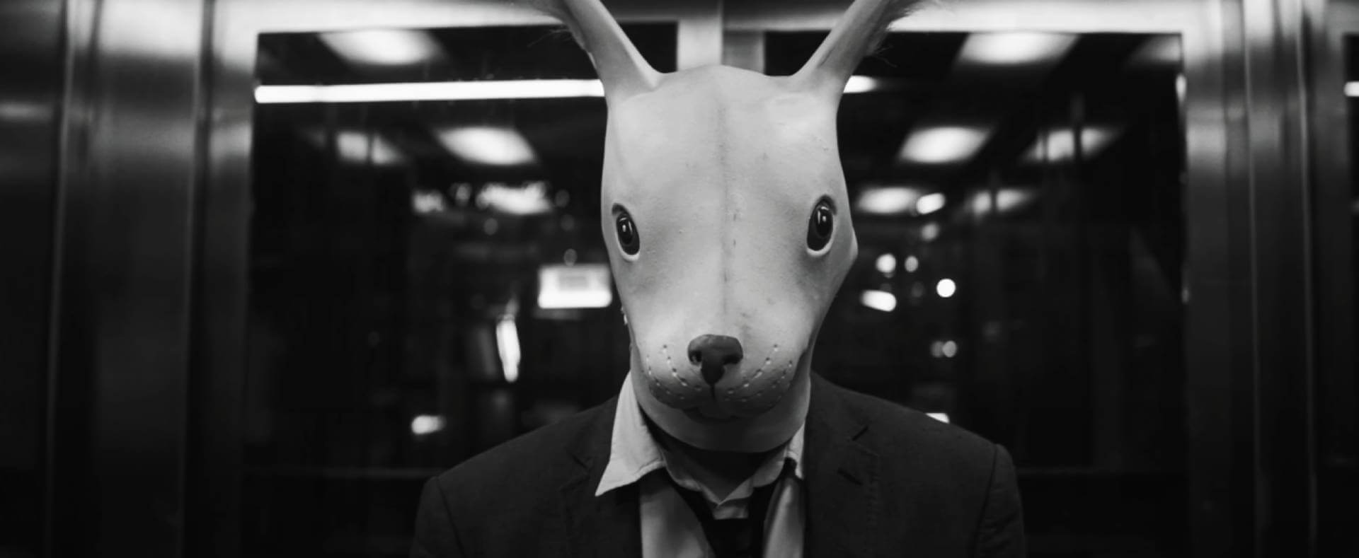 BAIKAL - DESCENT (music video)